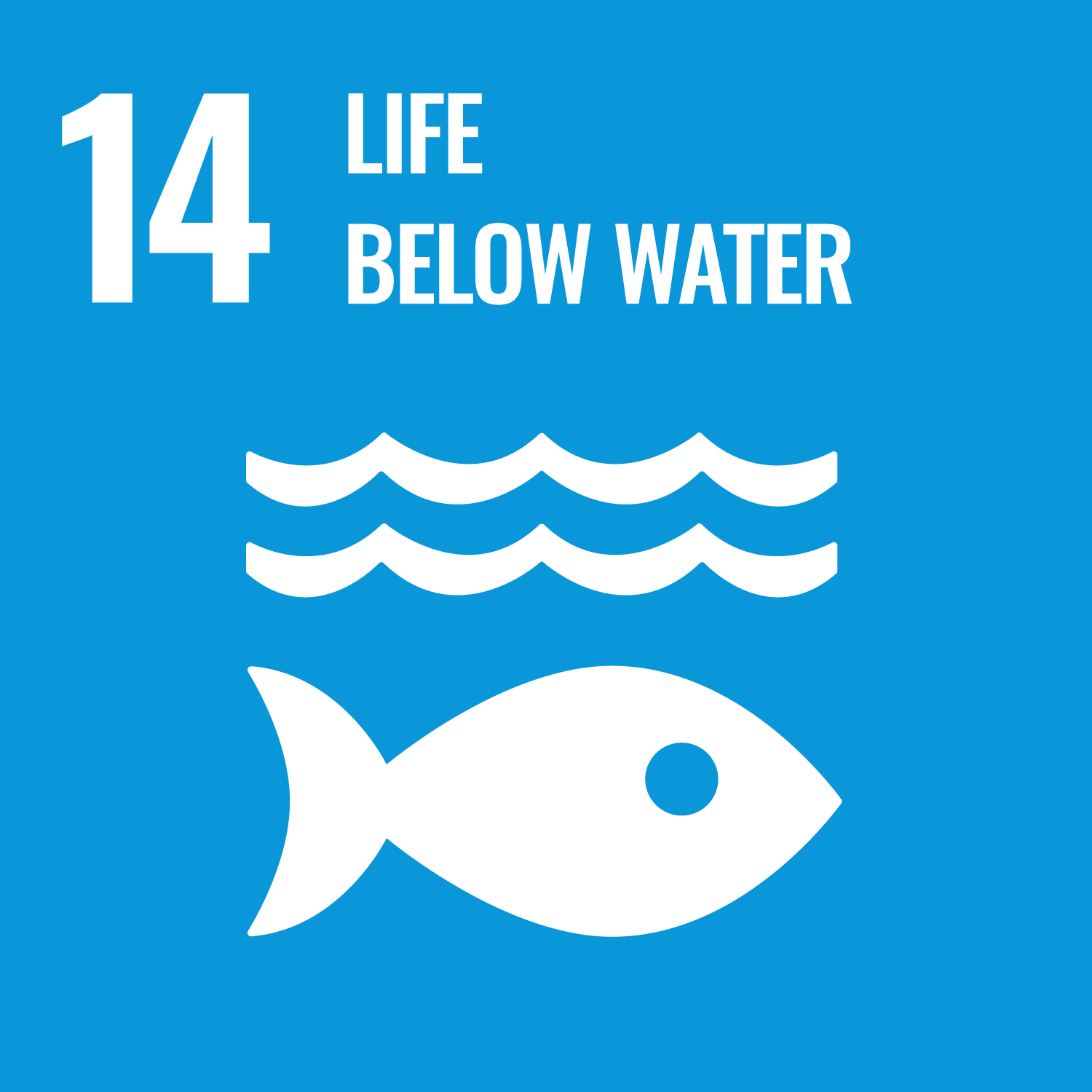 Goal 14 LIFE BELOW WATER title=